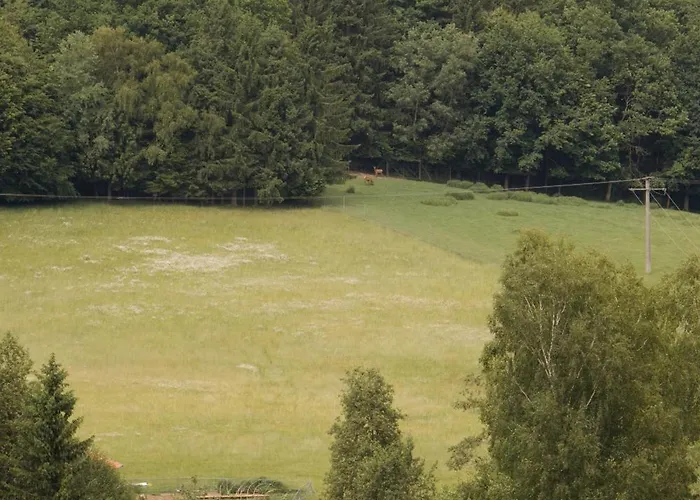Idyllisch Gelegene Xaver Im Herzen Des Bayerischen Waldes Zachenberg