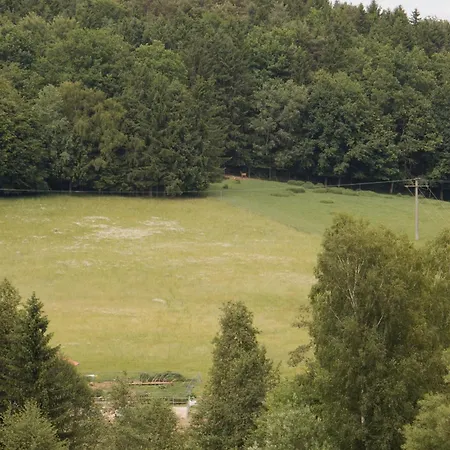 Idyllisch Gelegene Xaver Im Herzen Des Bayerischen Waldes Zachenberg